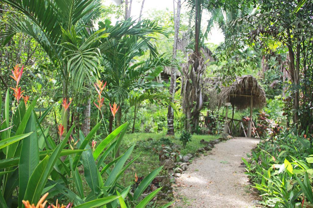 Sun Creek Lodge Punta Gorda Kültér fotó