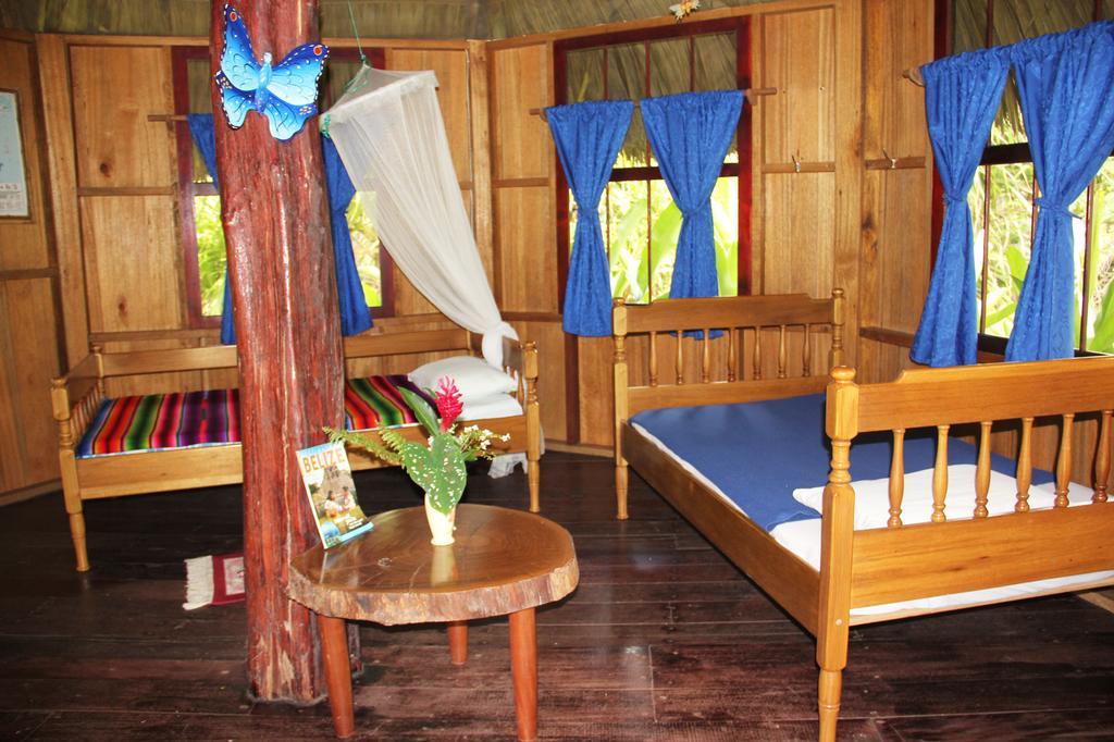 Sun Creek Lodge Punta Gorda Szoba fotó