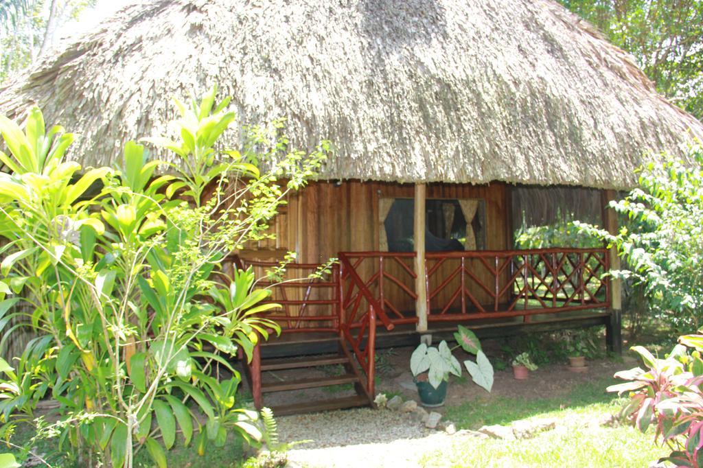 Sun Creek Lodge Punta Gorda Kültér fotó