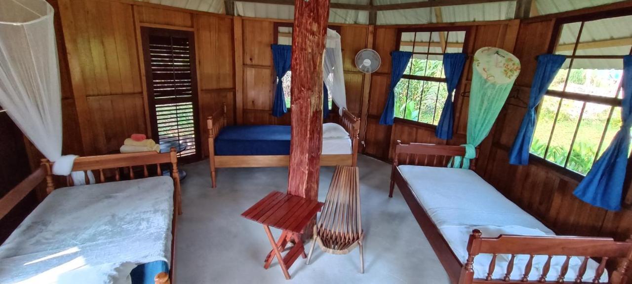 Sun Creek Lodge Punta Gorda Kültér fotó