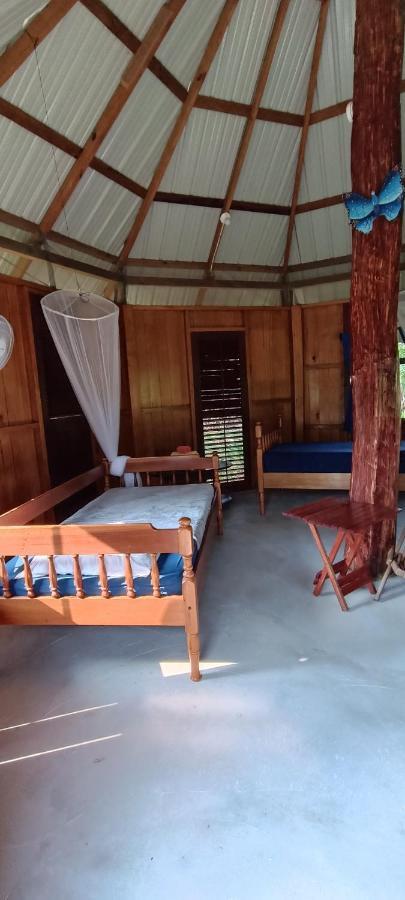 Sun Creek Lodge Punta Gorda Kültér fotó
