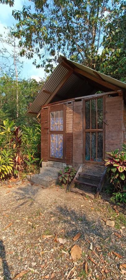 Sun Creek Lodge Punta Gorda Kültér fotó