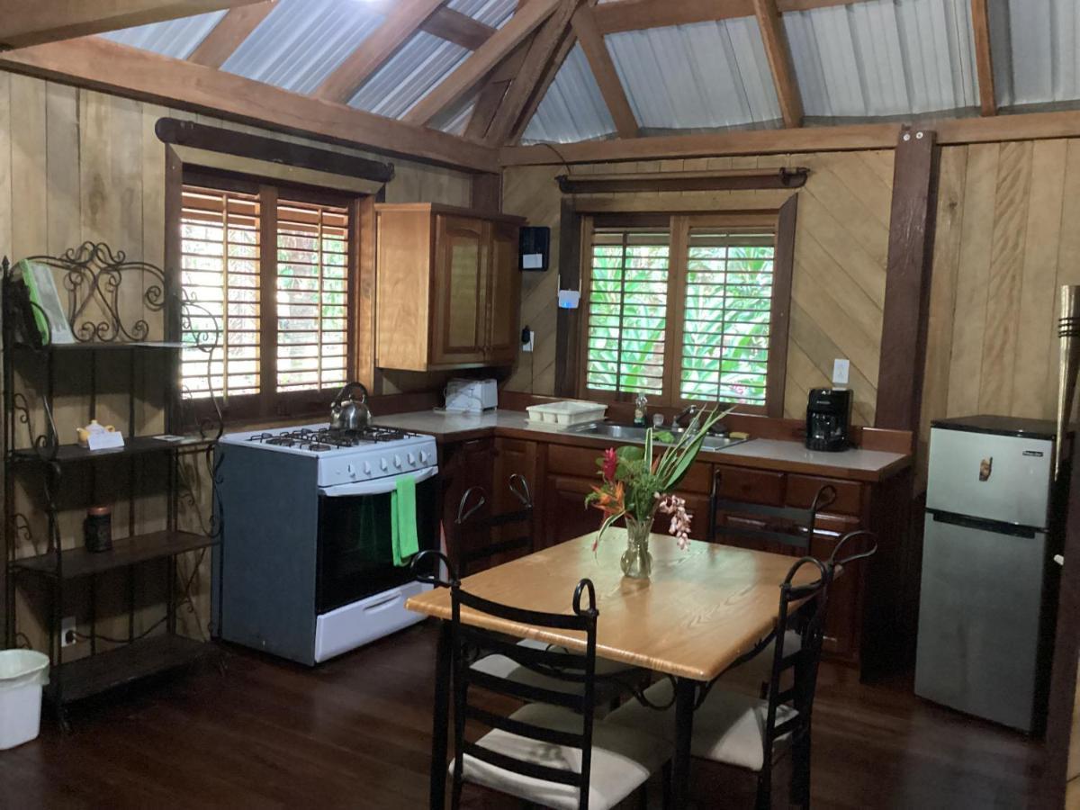 Sun Creek Lodge Punta Gorda Kültér fotó