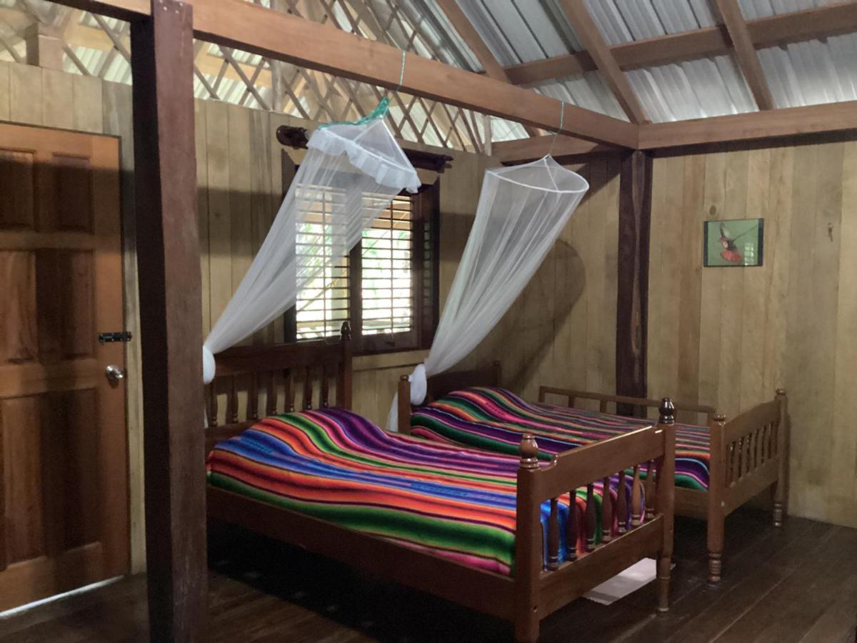 Sun Creek Lodge Punta Gorda Kültér fotó