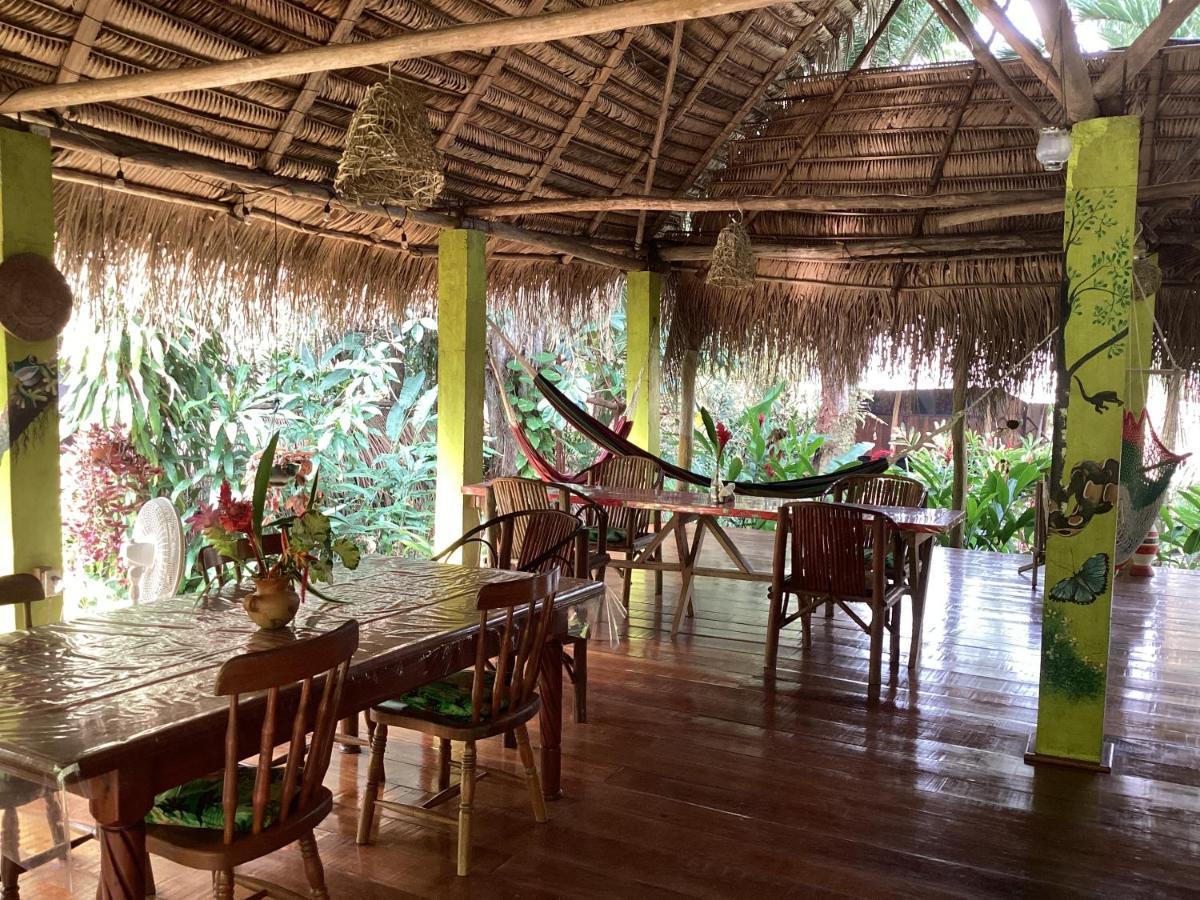 Sun Creek Lodge Punta Gorda Kültér fotó