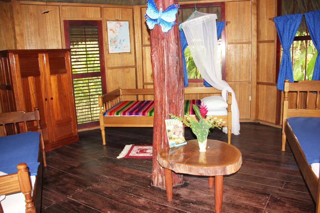 Sun Creek Lodge Punta Gorda Szoba fotó