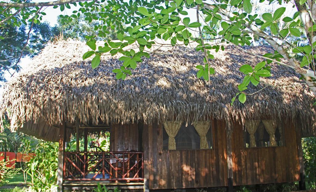Sun Creek Lodge Punta Gorda Szoba fotó