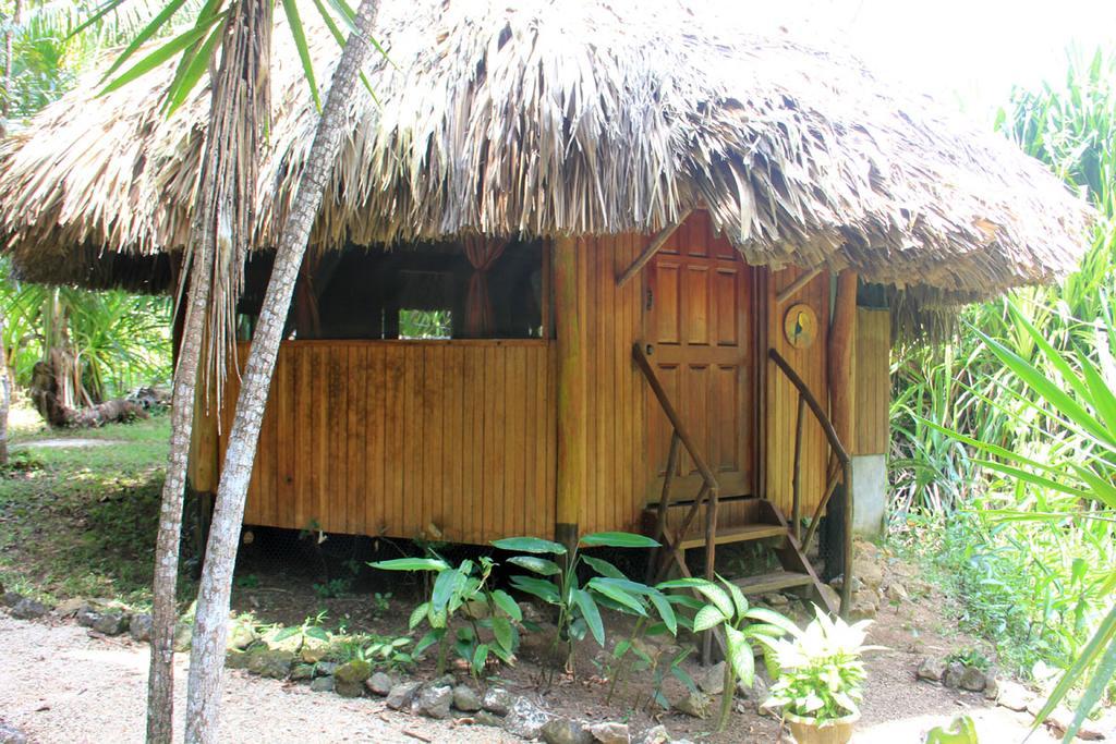 Sun Creek Lodge Punta Gorda Kültér fotó