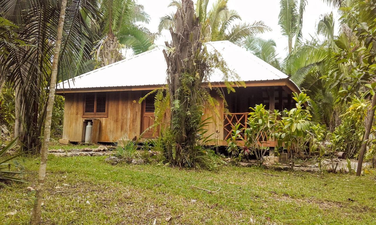 Sun Creek Lodge Punta Gorda Kültér fotó