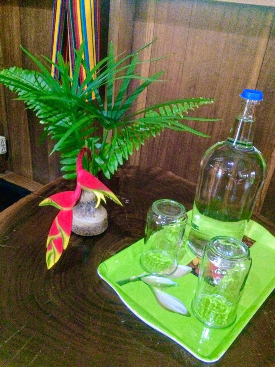 Sun Creek Lodge Punta Gorda Kültér fotó